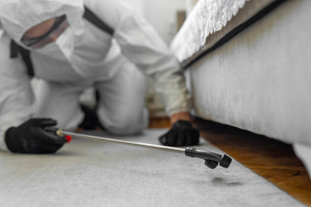 Professional Termite Control technician working in Taylor County County, FL